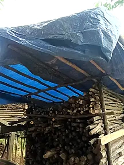 xiaogoal