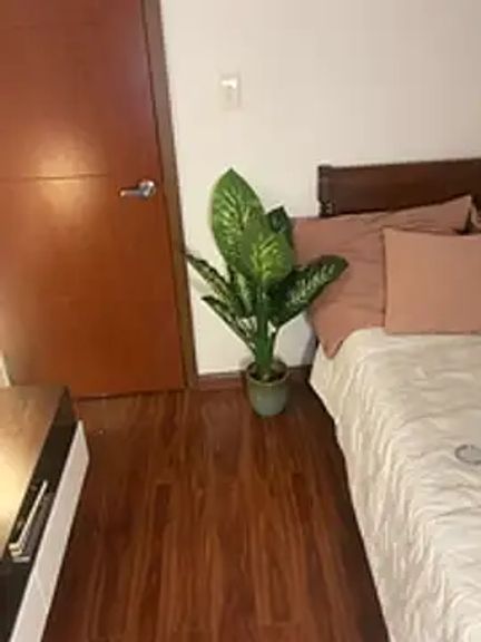 Suki_3