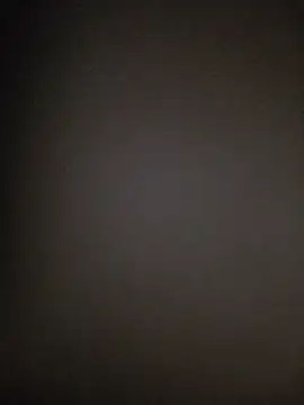 LauraDelightX