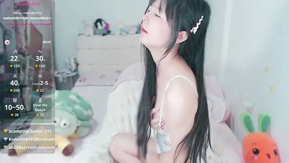 Rabbit1320
