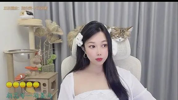 facai-feifei