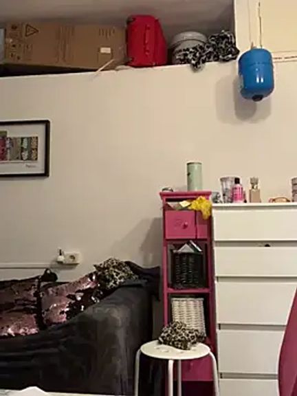 ladyturtle