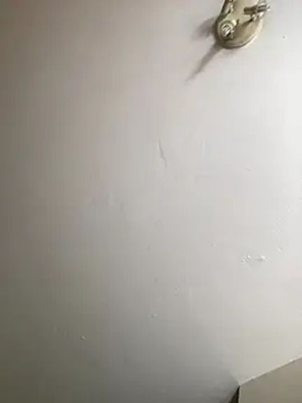 MILLIONDOLLARPUSSY95