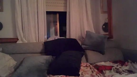 camisexxxtodo
