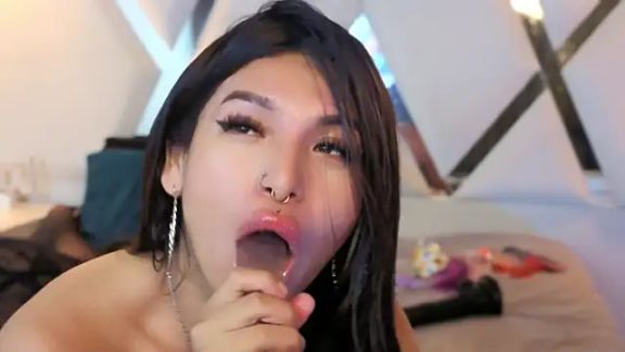 MeelFox