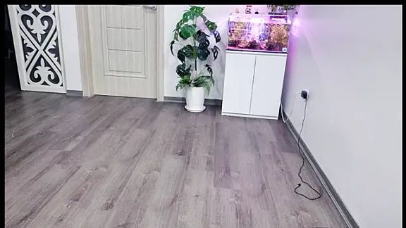 Kimle_squirt