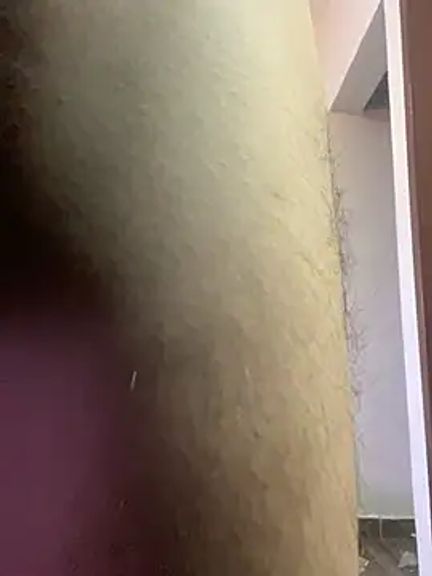 jakeblaze26