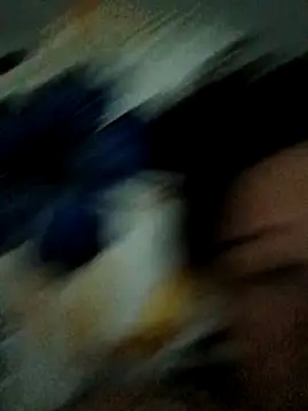 bellaj_03