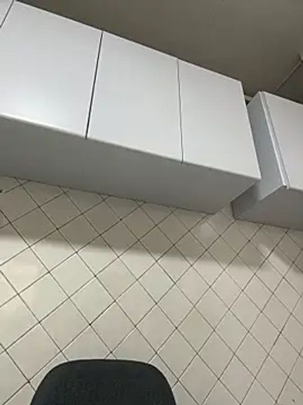 LilyRossi_