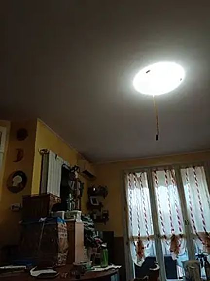 CasalingaEccitata