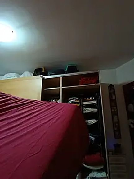 CasalingaEccitata