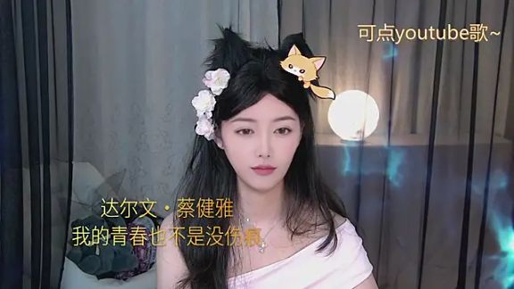 xinxin-cat