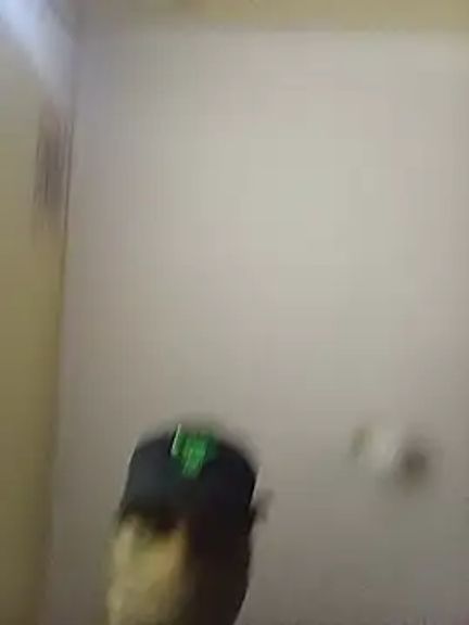 StallionPiper12