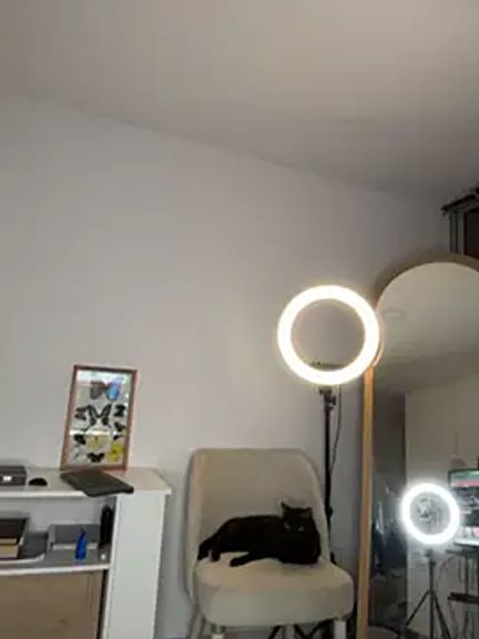 Veronica_ar