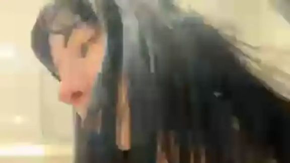 LuisaAlconcel