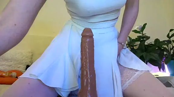 Politeeliza