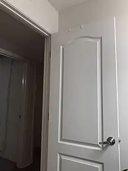 BaileyMFox