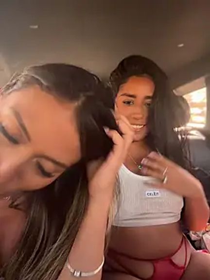 Palmer__
