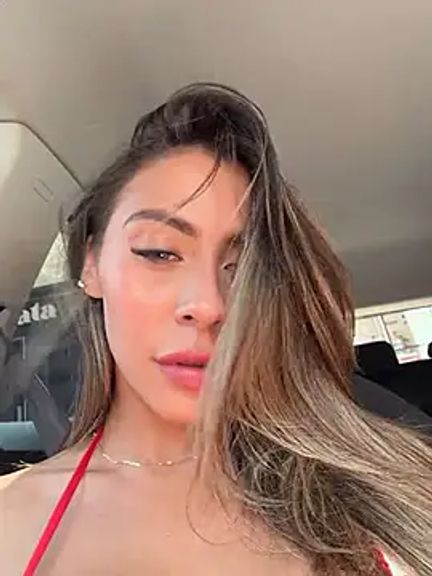 Palmer__