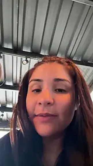 Palmer__