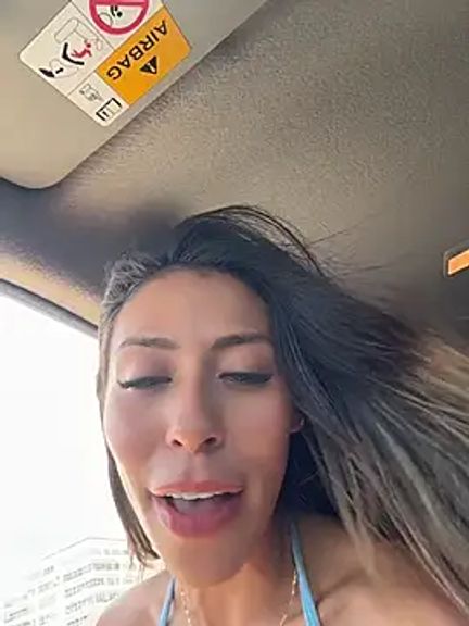 Palmer__