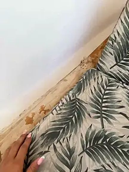 Palmer__