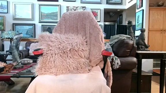 littlepistol01