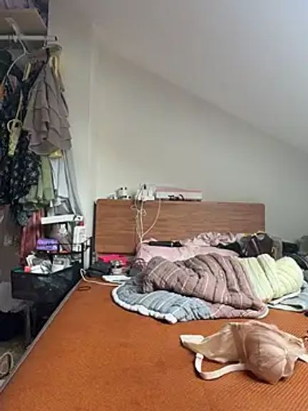 Iridessa-