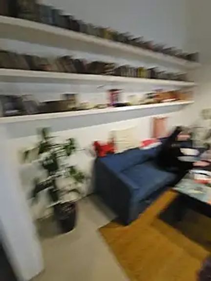 Elnonoykeila77