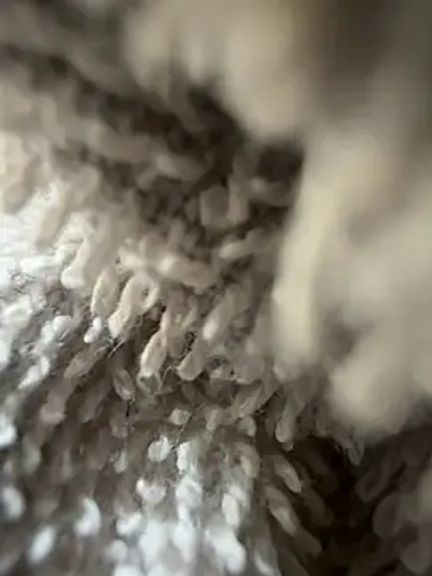 Majorcumlive