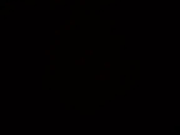 black_shawry