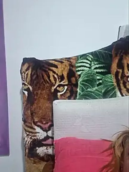 gatadeojosclaros