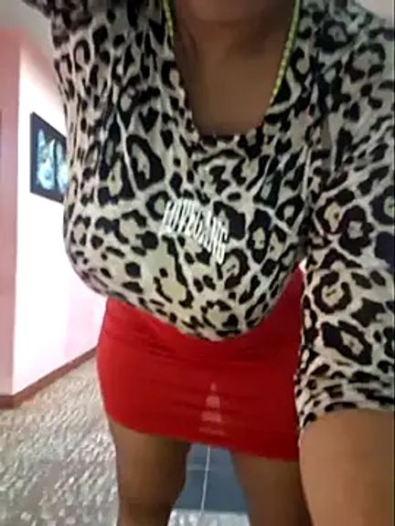 gatadeojosclaros