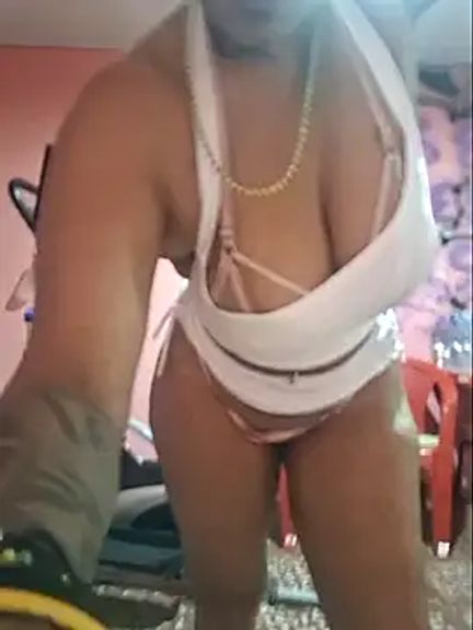 gatadeojosclaros