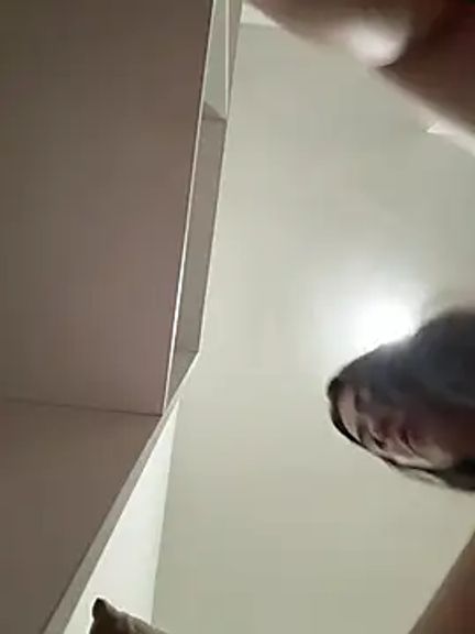 saborosinha777