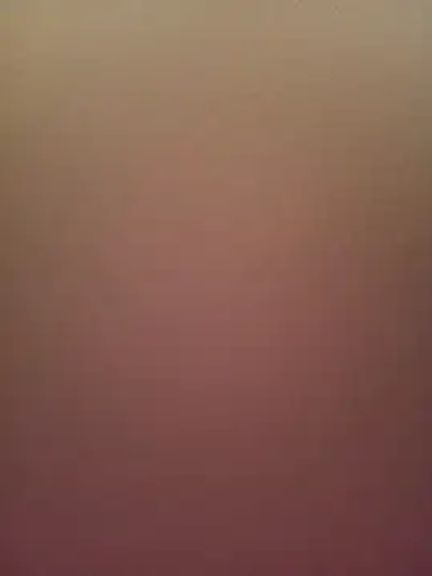 Isabella_pusy