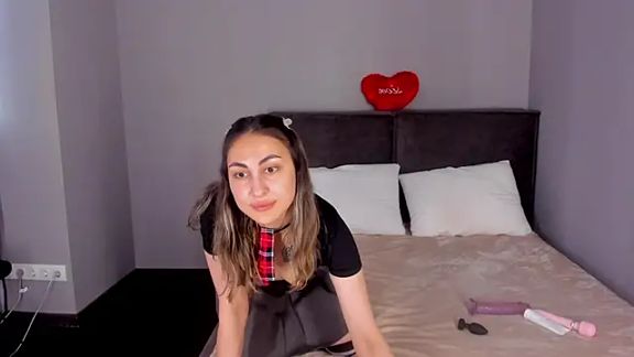 Fly_ari