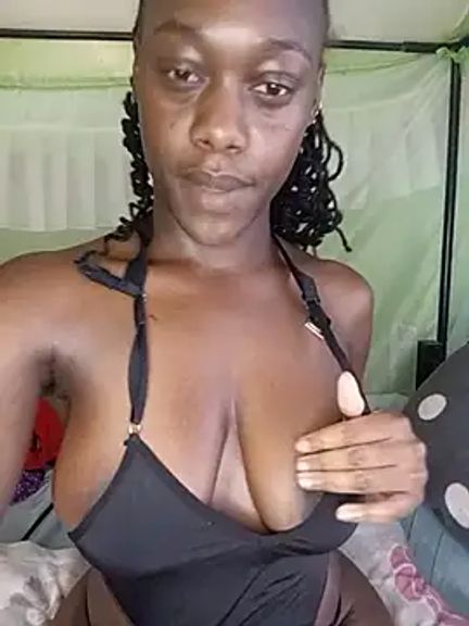 Paulahaze