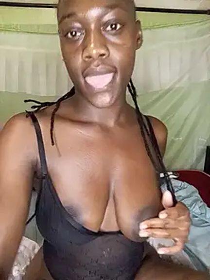 Paulahaze