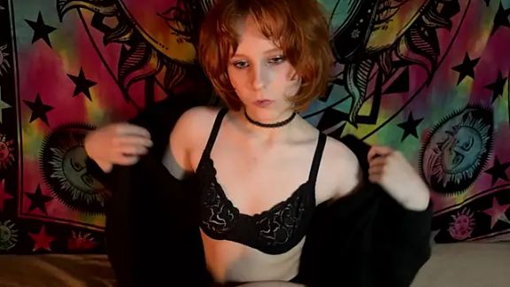 solarya_redfox