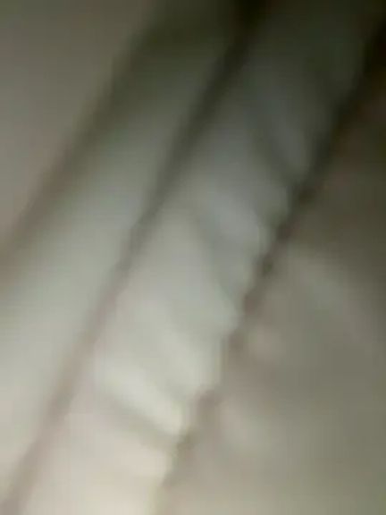 LikaCat