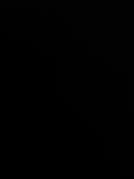 Estrella_40