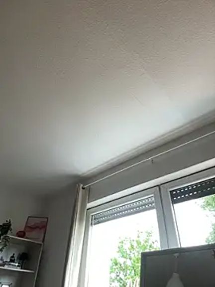 Luna_licous