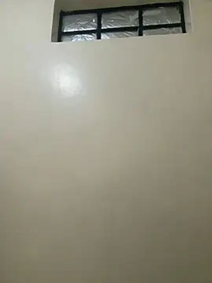 Sasha_mollie