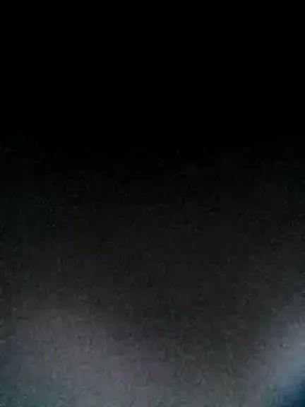 SlyBunny