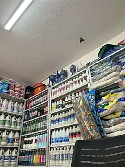 ISABELLA__LUNA