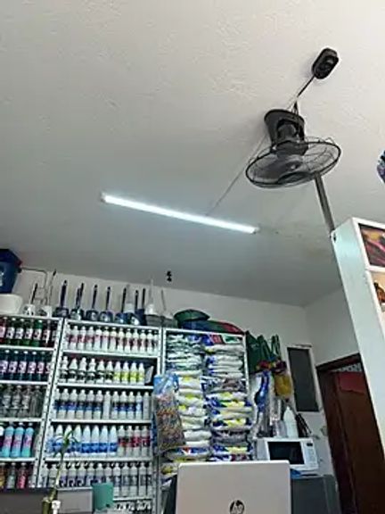 ISABELLA__LUNA
