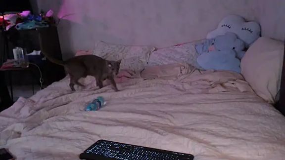 Hurricane_Kat