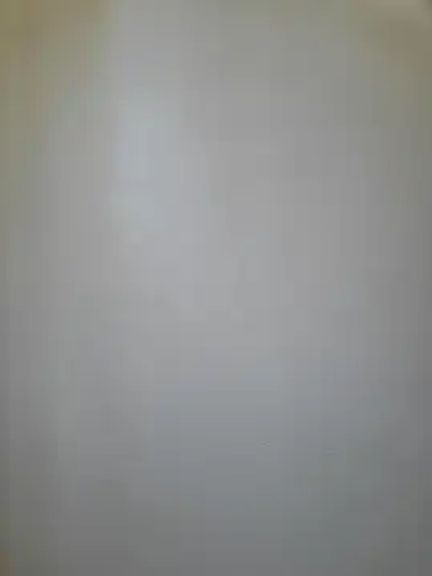 Shanisemillz