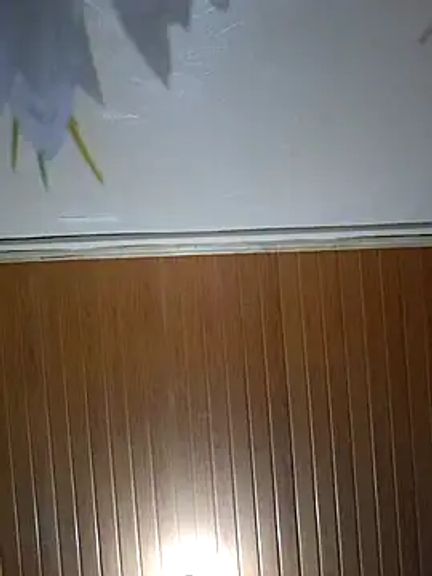 Hotpetittey